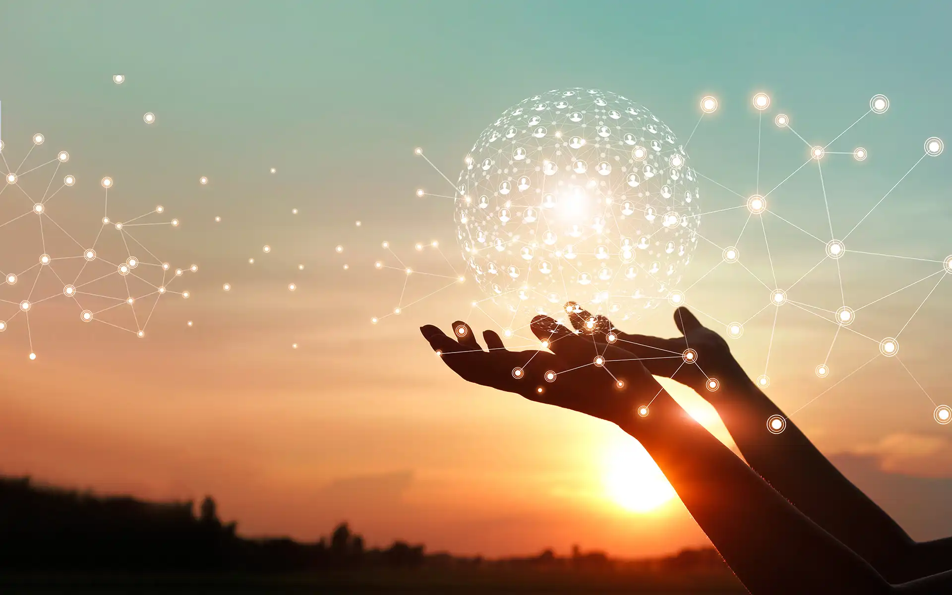 An image of hands held up open to a digital ball of user icons in front of a sunrise to represent organizational change management.